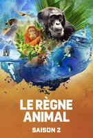 Saison 2