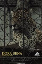Dora Sena