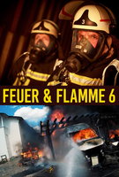 Saison 6