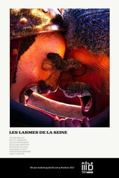 Les larmes de la Seine