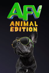 America's Funniest Home Videos: Animal Edition