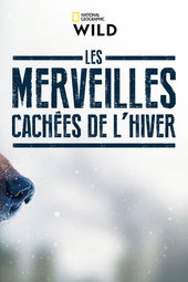 Les merveilles cachées de l'hiver