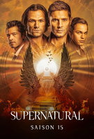 Saison 15