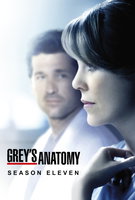 Saison 11
