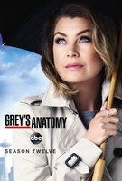 Saison 12