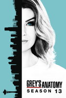 Saison 13