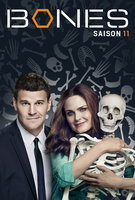 Saison 11