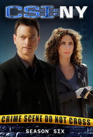 Saison 6