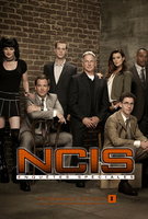 Saison 8