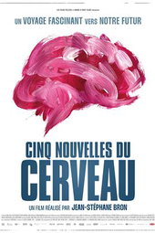 Cinq nouvelles du cerveau