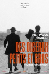 Des oiseaux, petits et gros