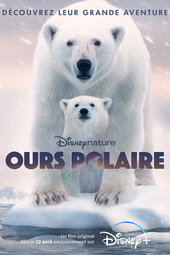 Ours Polaire