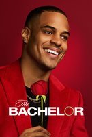 Saison 29