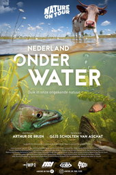 The Netherlands under water