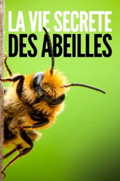 La vie secrète des abeilles