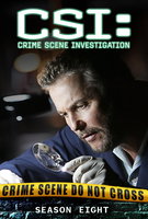Saison 8