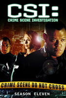 Saison 11