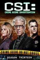 Saison 13