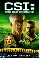 Saison 15