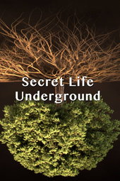 Secret Life Underground