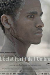 L'éclat furtif de l'ombre