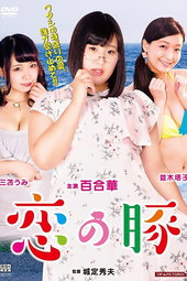 Lovely Chubby