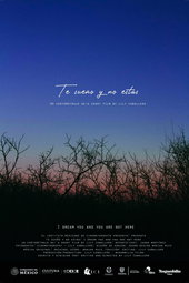 I dream you and you are not here