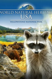 Yellowstone 3D