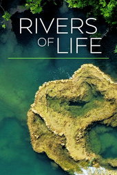 Rivers Of Life