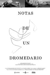 Notes from a Dromedary