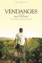 Vendanges