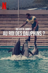Qu'est-il arrivé au roi des dauphins ?