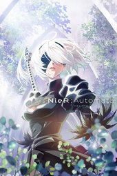 NieR Automata Ver1.1a