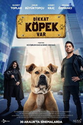Dikkat Köpek Var
