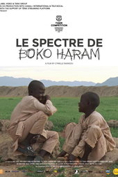 Le spectre de Boko Haram