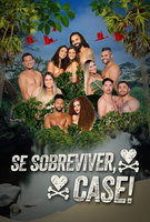 Saison 4