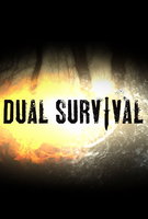 Saison 8