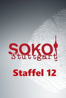 Saison 12