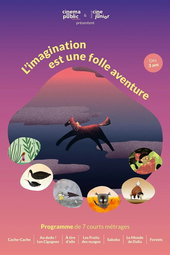 L'imagination est une folle aventure