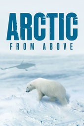 Arctic from Above
