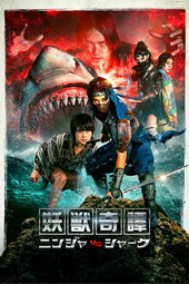 Ninja vs Shark
