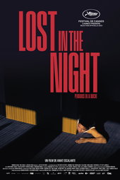 Lost In The Night
