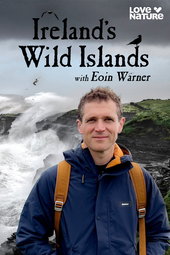 Les îles irlandaises, avant-postes de l'océan