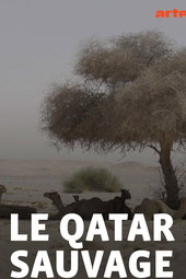 Le Qatar sauvage