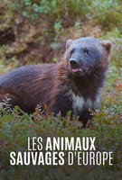 Saison 2