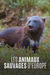 Les Animaux sauvages d'Europe