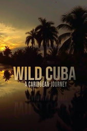 Cuba, révolution sauvage