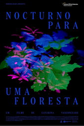 Nocturne for a Forest