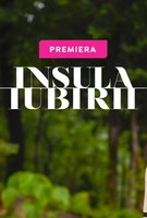 Saison 6
