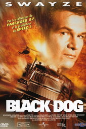 Black Dog